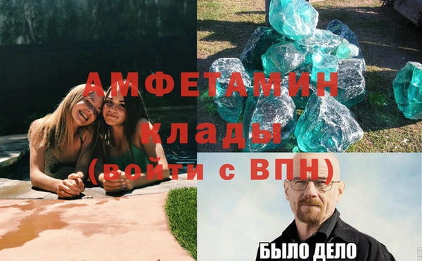 прущие грибы Верея